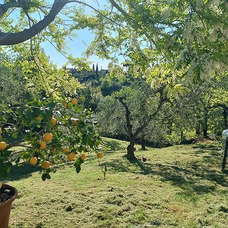 Le Massucce San Casciano in Val di Pesa Exterior foto