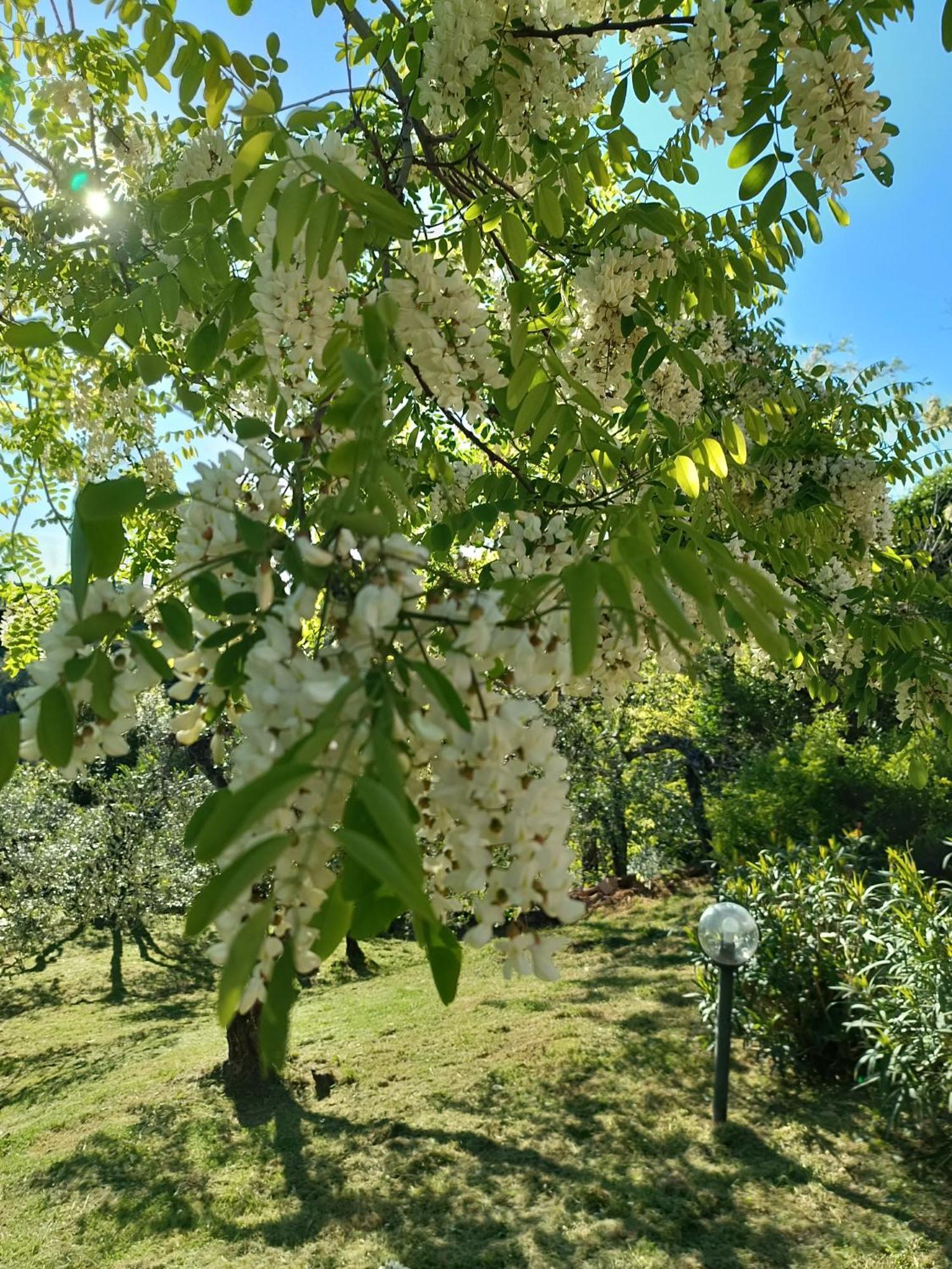 Le Massucce San Casciano in Val di Pesa Exterior foto