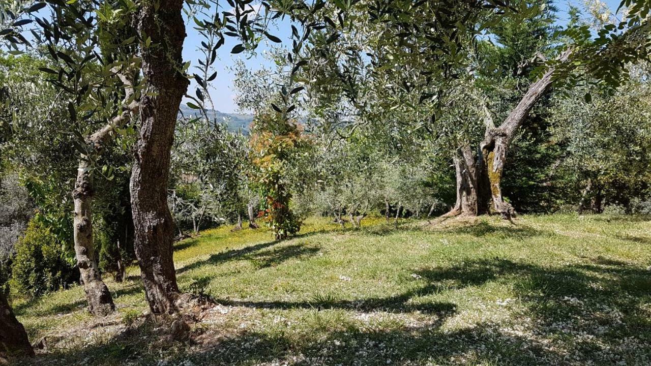 Le Massucce San Casciano in Val di Pesa Exterior foto